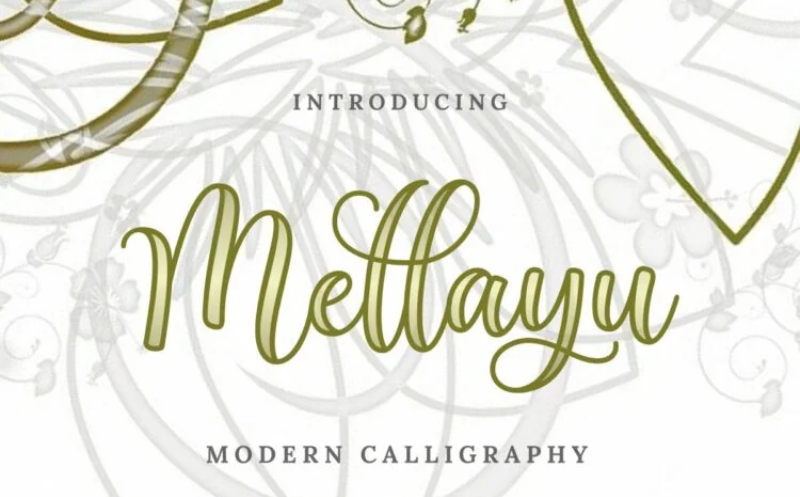 the best cursive fonts for wedding invitations, this font belongs right there.