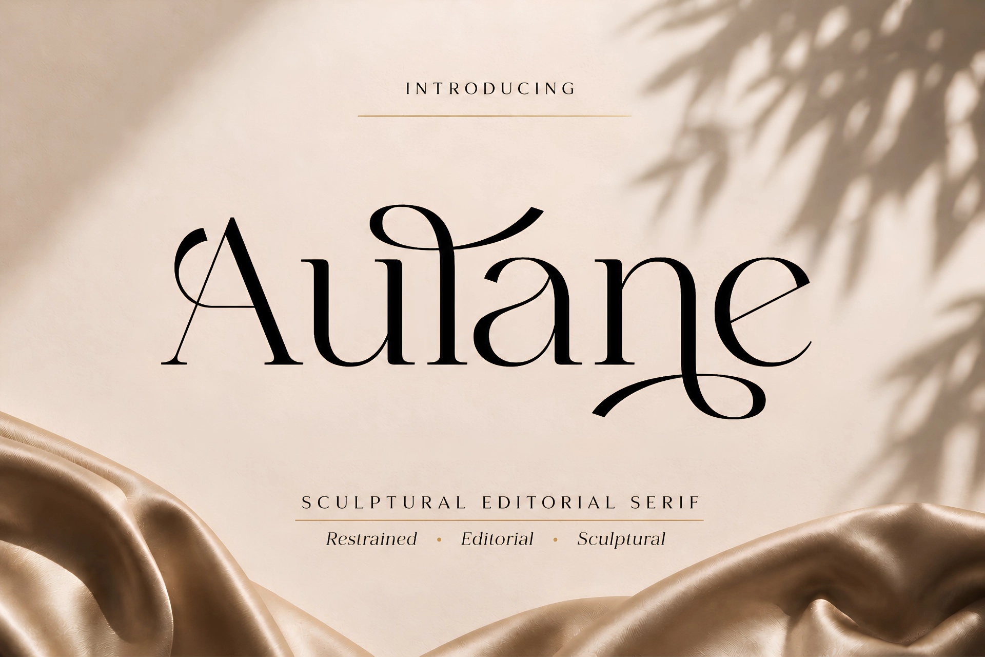 Aulane sculptural editorial serif font Aulane sculptural editorial serif font